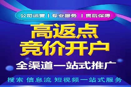 竞价推广策略解析：实战案例分析